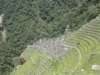 Short Inca Trail (18).jpg